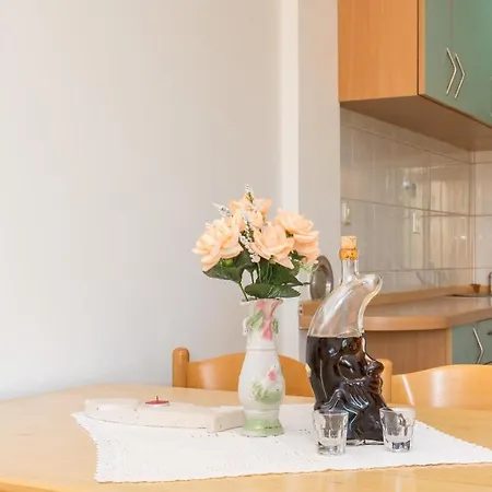 Apartmán Branko